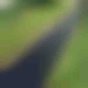 Erbacce eliminate in 24 ore - Telo da giardino 0,95 x 10 m | VEGUARD