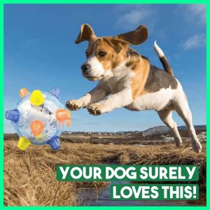 Palla Interattiva Rimbalzante per Cani - Rimbalzo Automatico, Luci e Suoni | ACTIBALL